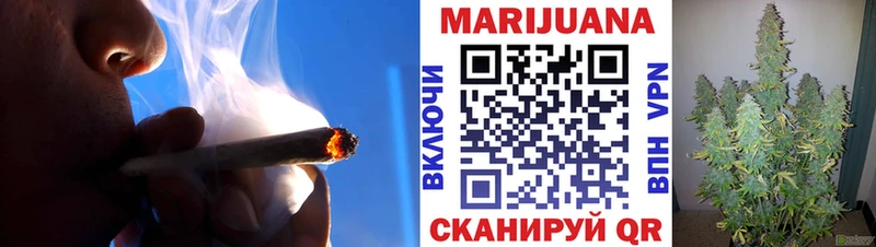 ГАШ Купино