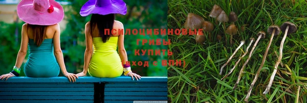 PSILOCYBIN Белоозёрский