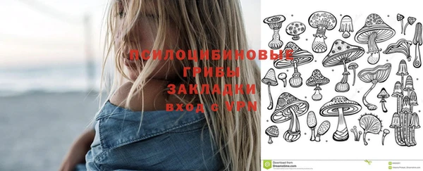 PSILOCYBIN Белоозёрский