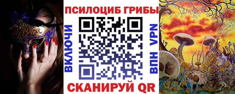 где купить наркотик  Купино  Псилоцибиновые грибы Magic Shrooms 